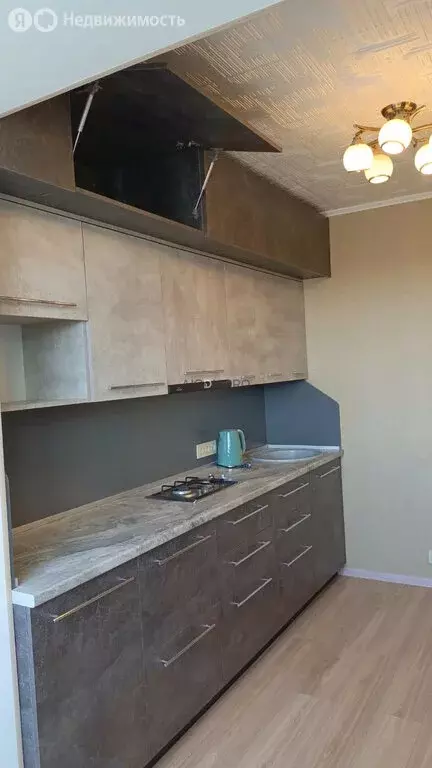 1-комнатная квартира: Саратов, Хрустальная улица, 55А (30.4 м) - Фото 1