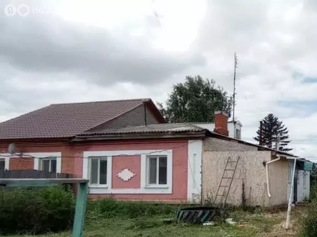 Дом в Омский район, Лузинское сельское поселение, деревня Петровка (84 ... - Фото 0