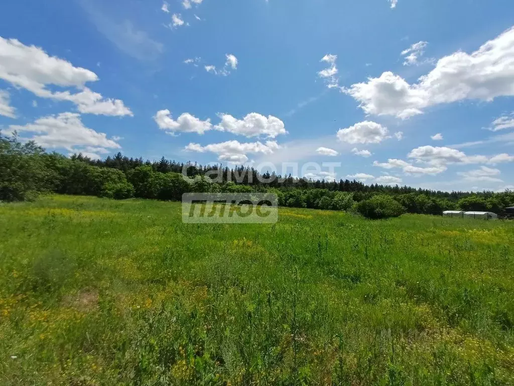 Участок в Курская область, Курский район, Шумаковский сельсовет, с. ... - Фото 0