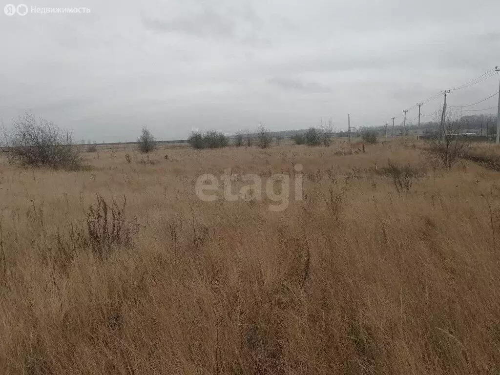 Участок в Архангельское, Песчаная улица (11.6 м) - Фото 1