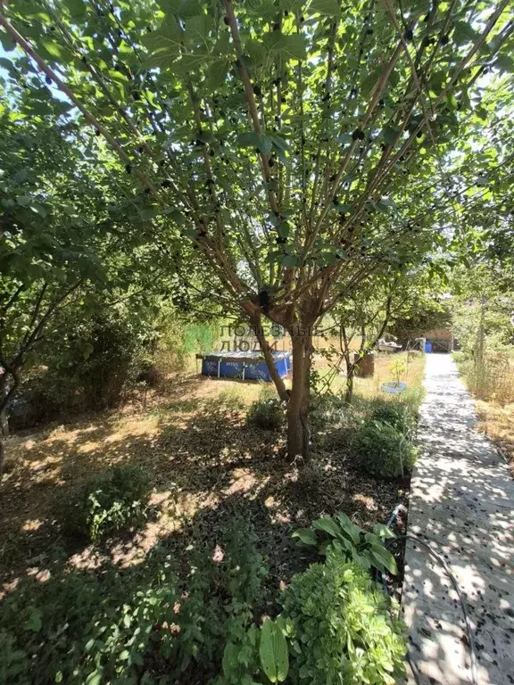 Дом в Крым, Евпатория Геолог садовое товарищество, аллея 3-я (46 м) - Фото 2