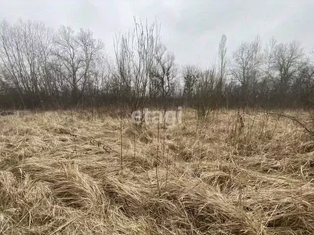 Участок в Краснодарский край, Горячий Ключ муниципальный округ, ... - Фото 1