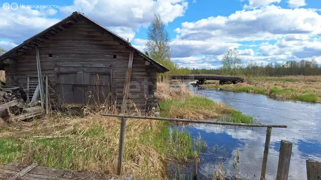 Участок в Вологодская область, Белозерский муниципальный округ, ... - Фото 0