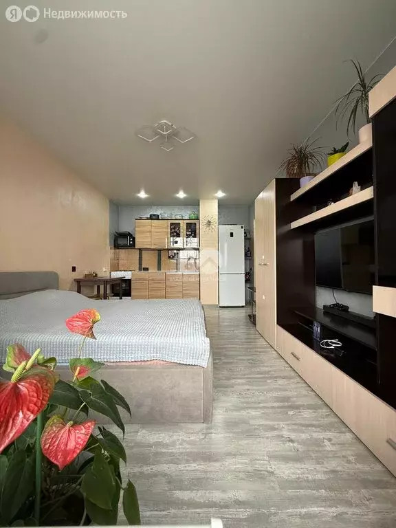 Квартира-студия: Новосибирск, улица Петухова, 103/2 (28 м) - Фото 1