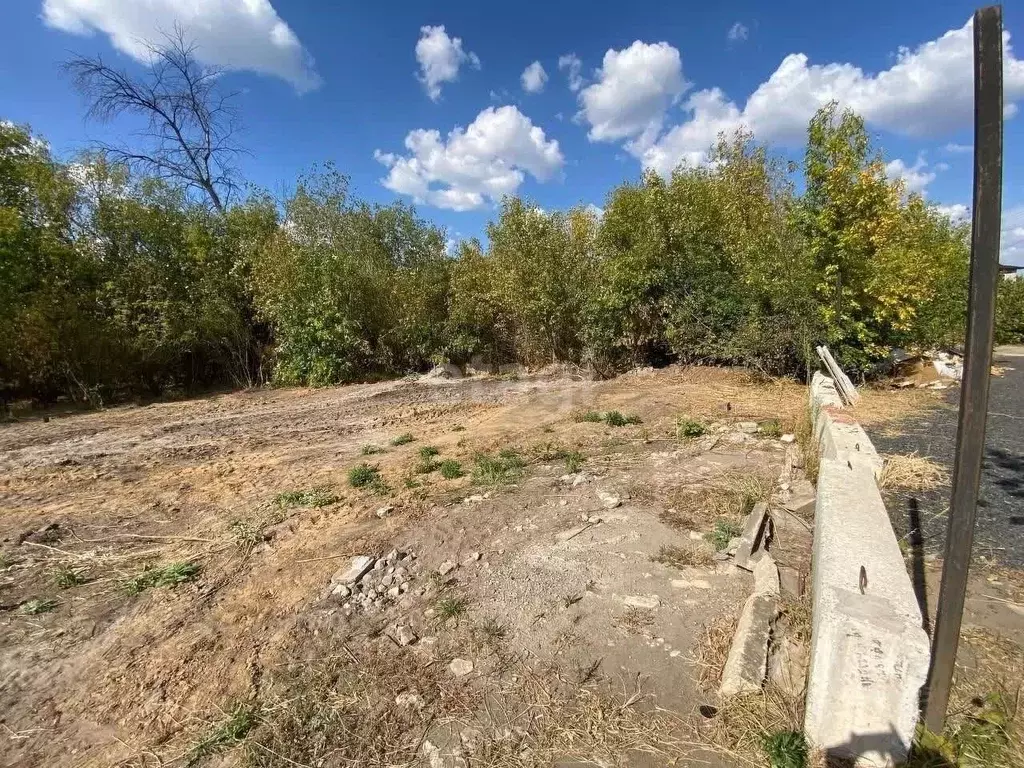 Участок в Воронежская область, Новоусманский район, пос. Отрадное ул. ... - Фото 1