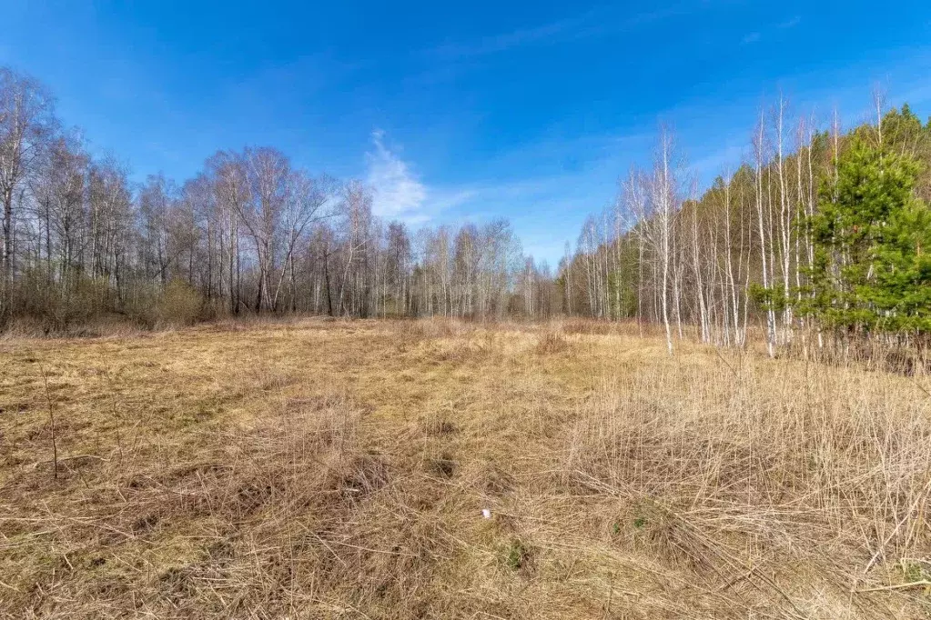 Участок в Тюменская область, Тюменский муниципальный округ, пос. ... - Фото 1