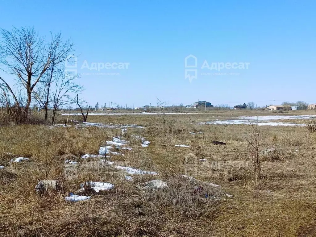 Участок в Волгоградская область, Волгоград ул. Прибойная (8.36 сот.) - Фото 1