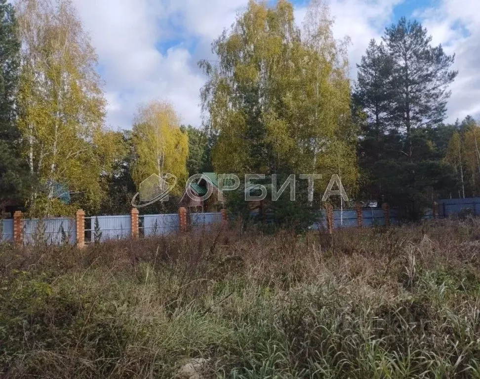 Участок в Тюменская область, Тюменский муниципальный округ, д. Ушакова ... - Фото 2