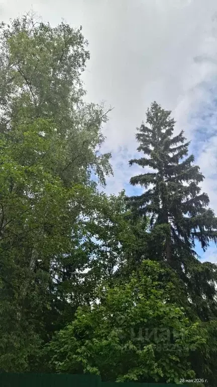 Участок в Московская область, Одинцовский городской округ, Лесные ... - Фото 0