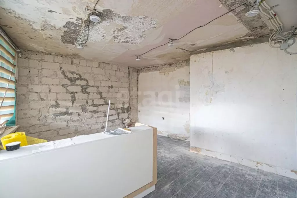 Офис в Севастополь ул. Ленина, 74А (245 м) - Фото 1