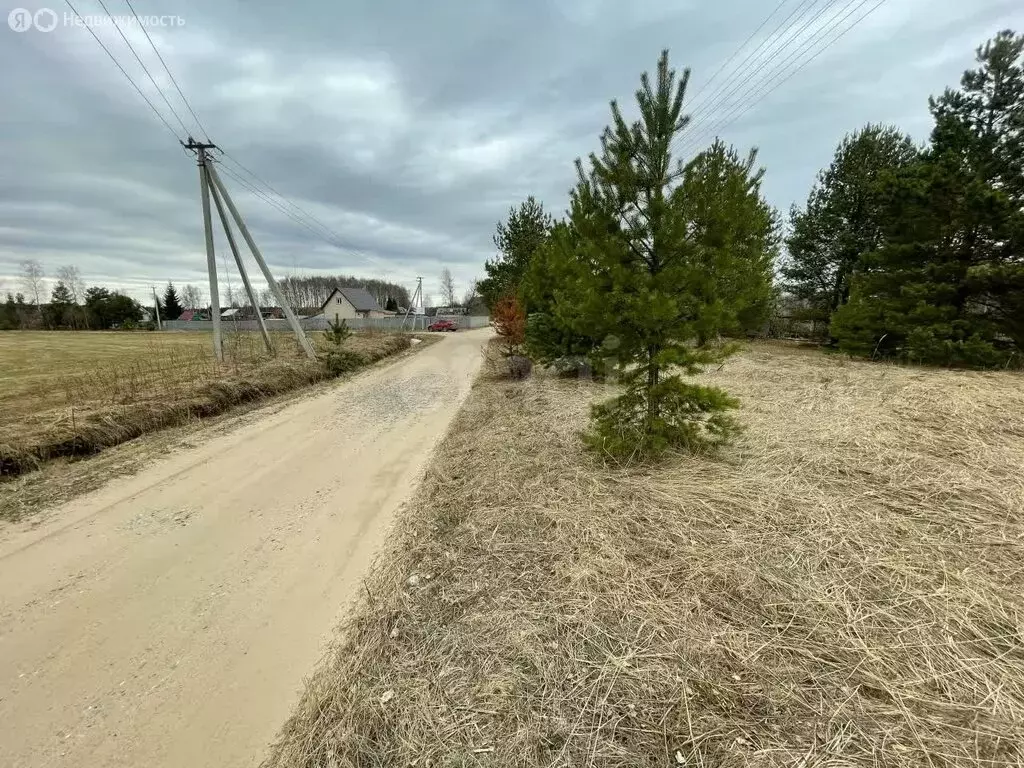 Участок в Ярославский муниципальный округ, деревня Сентьевская (15 м) - Фото 2