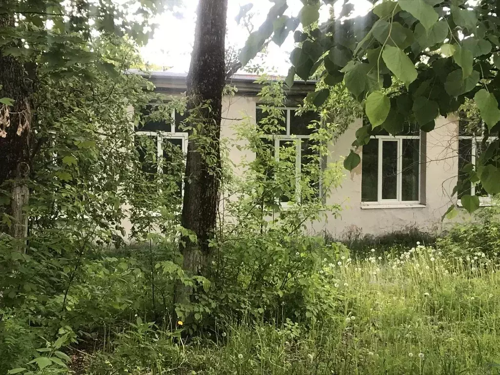 Помещение свободного назначения в Московская область, Воскресенск ... - Фото 1