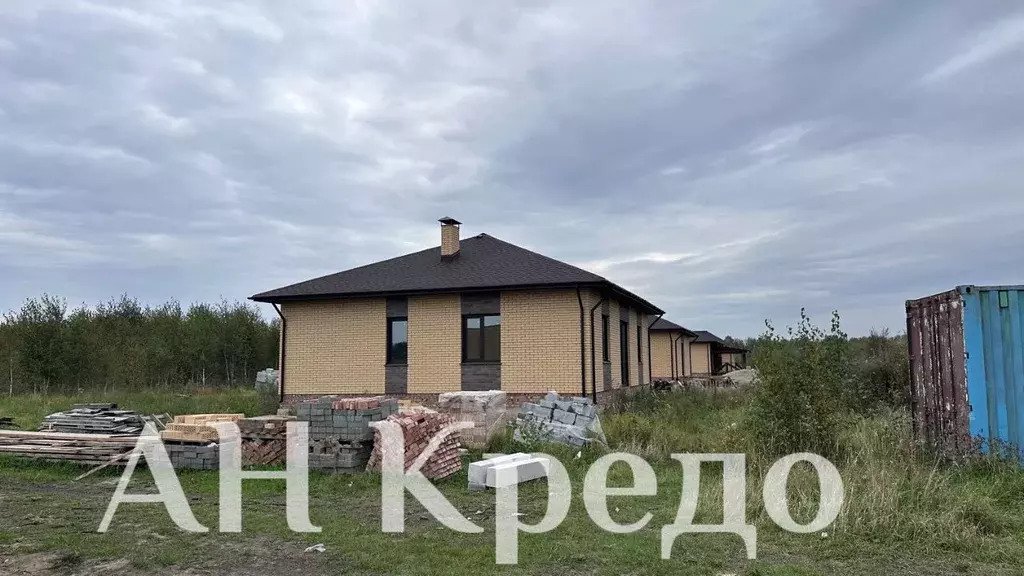 Дом в Омская область, Омский район, Пушкинское с/пос ул. Болдинская, ... - Фото 2