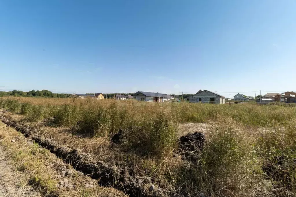 Участок в Новосибирская область, Новосибирский район, Криводановский ... - Фото 1