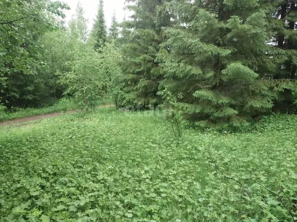 Участок в Свердловская область, Нижний Тагил городской округ, пос. ... - Фото 1