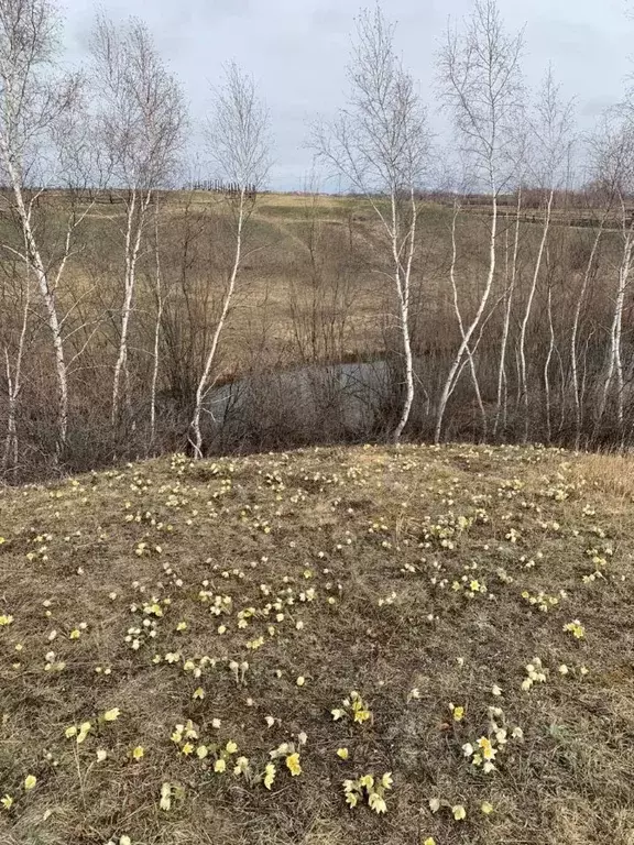 Дом в Саха (Якутия), Якутск  (49 м) - Фото 2