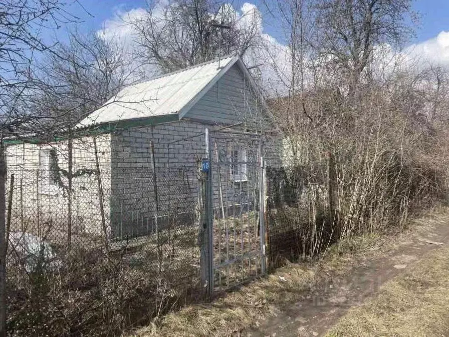 Участок в Воронежская область, Воронеж Садовод СНТ, ул. Виноградная, ... - Фото 1