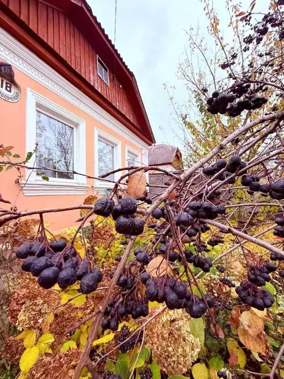 Дом в Тульская область, Тула ул. 4-я Криволученская, 18 (49 м) - Фото 1