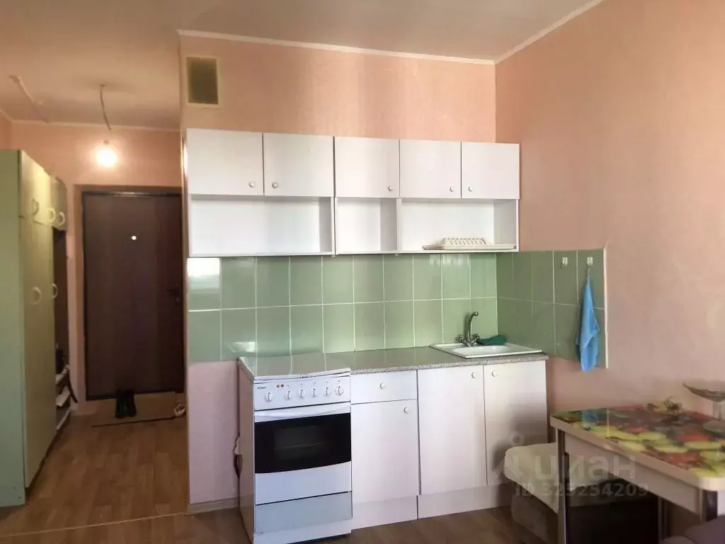 1-к кв. Пензенская область, Пензенский район, Засечный сельсовет, с. ... - Фото 2