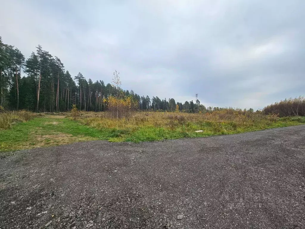 Участок, 6 сот., поселения (ижс) - Фото 1