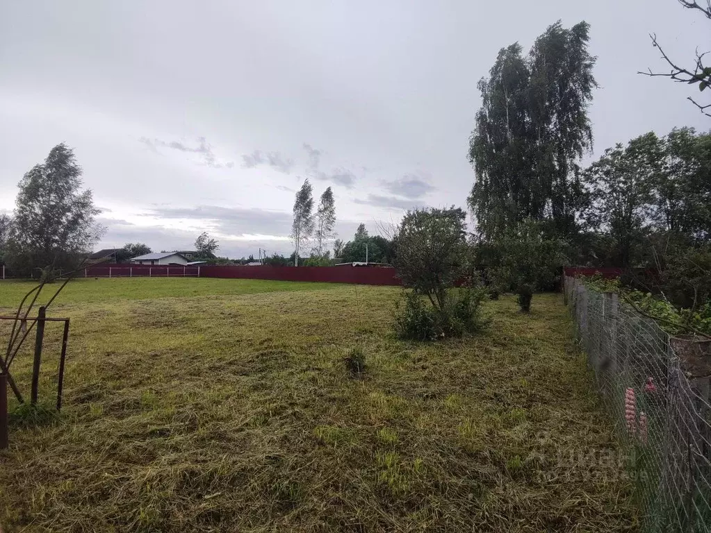 Участок в Московская область, Клин городской округ, Клинский Ветеран ... - Фото 1
