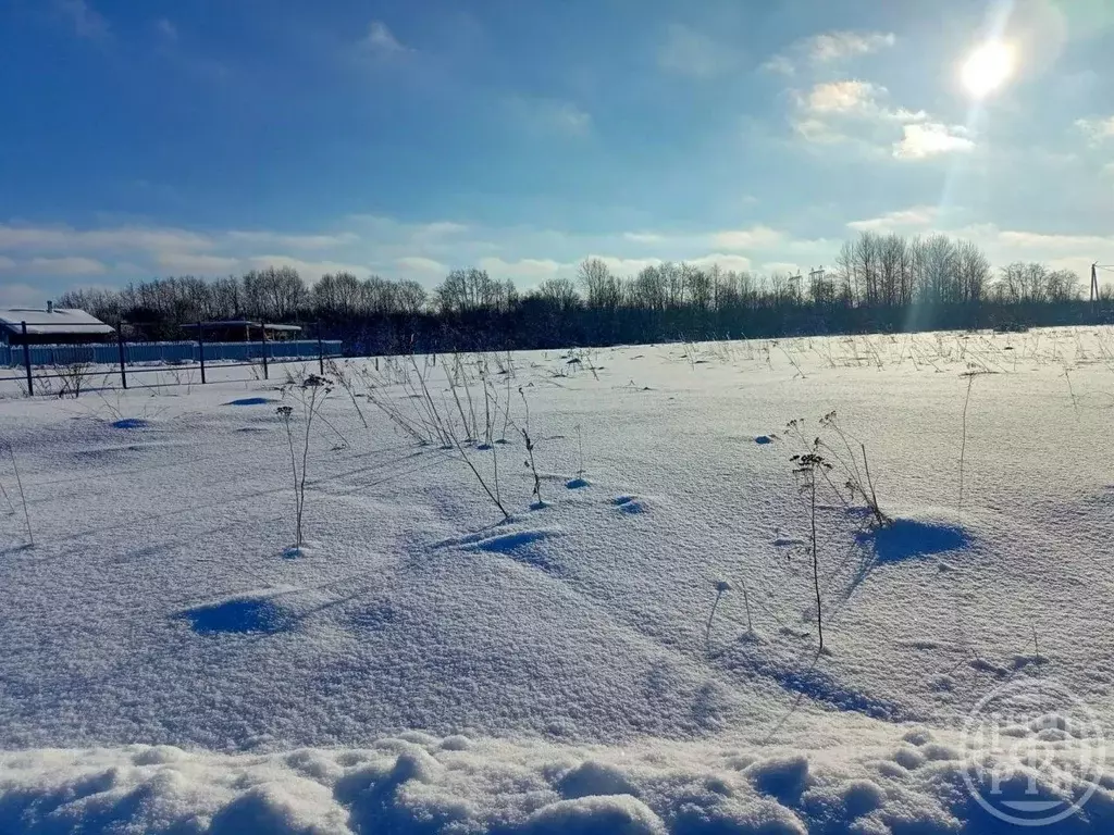 Участок в Ленинградская область, Кировский район, Путиловское с/пос, ... - Фото 1