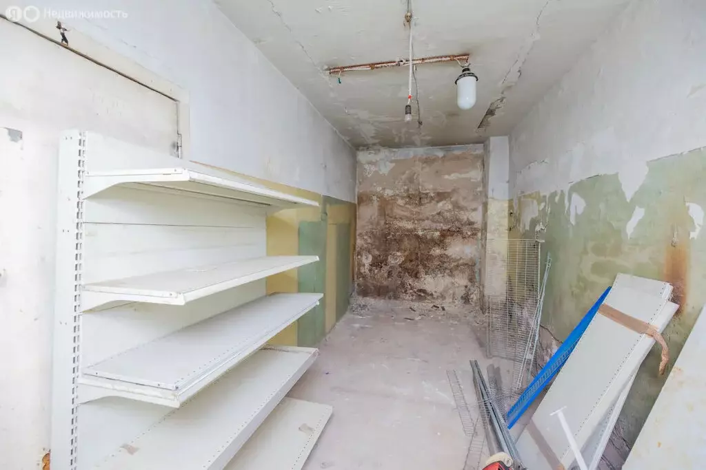 Помещение свободного назначения (231.7 м) - Фото 1