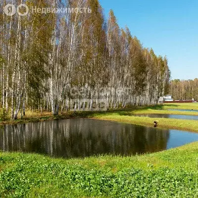 Участок в Московская область, городской округ Ступино, деревня ... - Фото 0