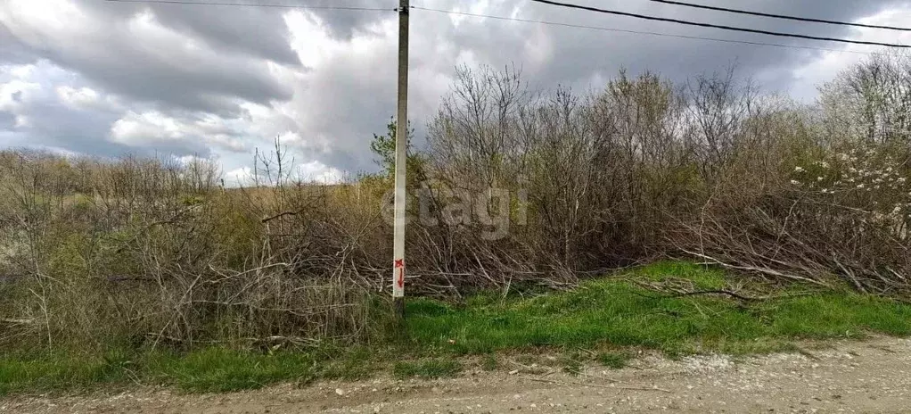 Участок в Краснодарский край, Новороссийск городской округ, Убых хут.  ... - Фото 1