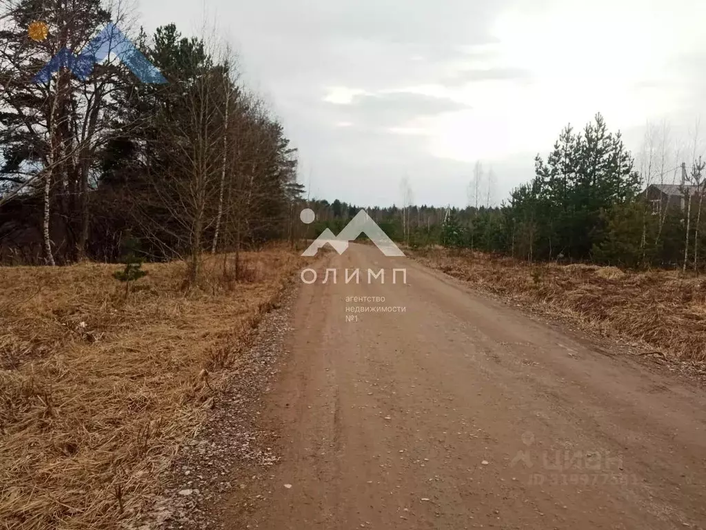 Участок в Ярославская область, Ярославский муниципальный округ, д. ... - Фото 1