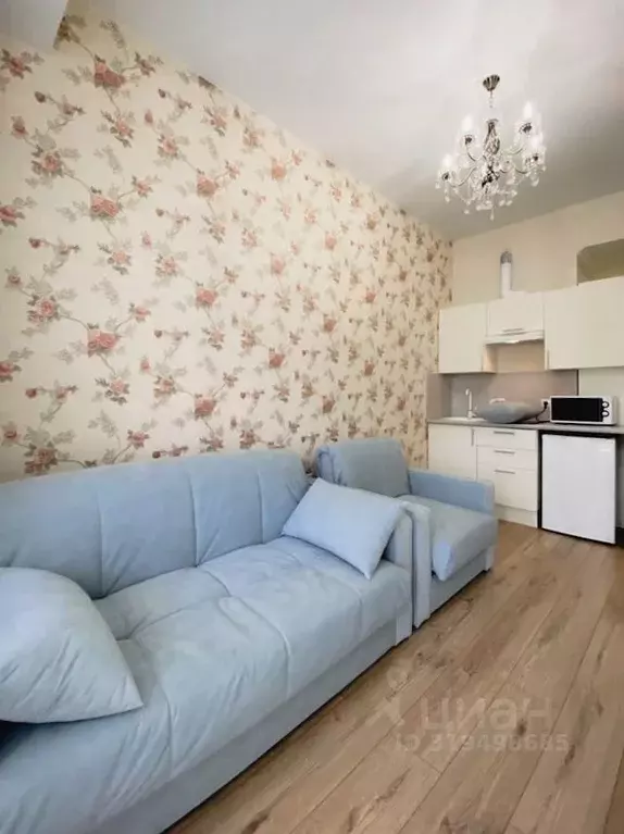 1-к кв. Краснодарский край, Сочи Виноградная ул., 89/2 (29.0 м) - Фото 0