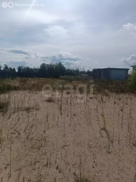 Участок в Амурская область, Благовещенский муниципальный округ, село ... - Фото 1