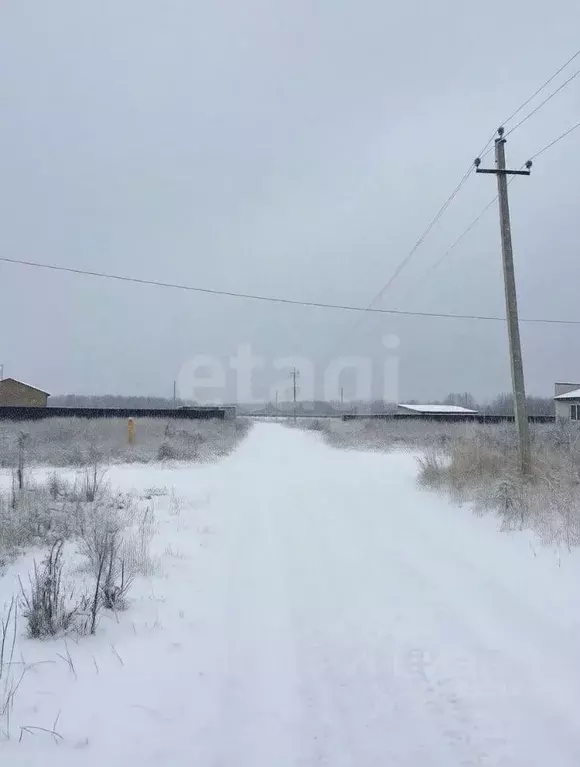 Участок в Владимирская область, Ковровский район, Малыгинское с/пос, ... - Фото 2