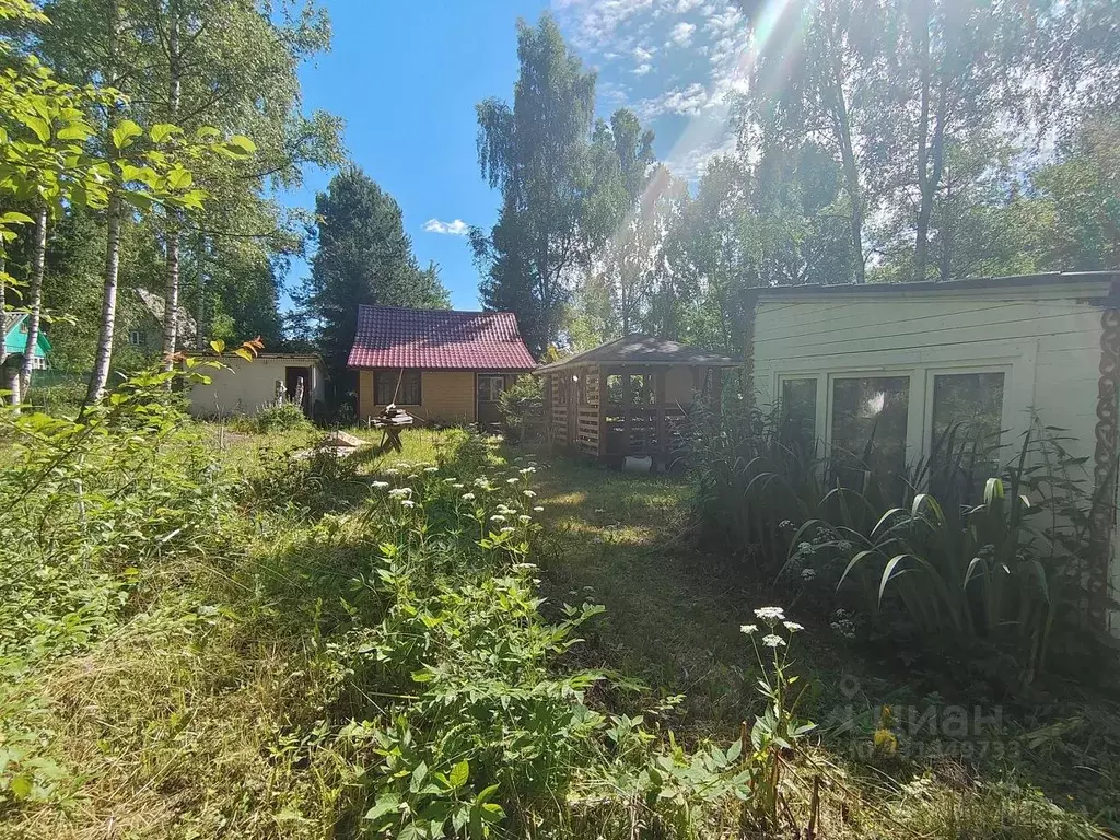 Дом в Владимирская область, Александров Строитель-1 СНТ,  (45 м) - Фото 2