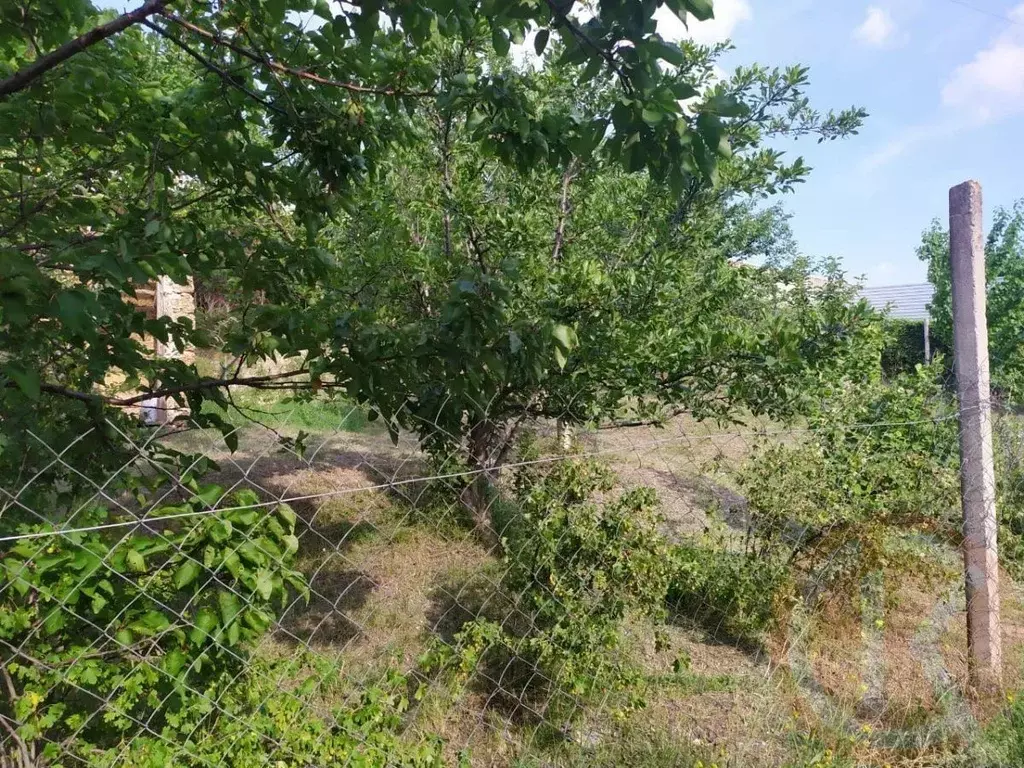 Участок в Крым, Симферополь ул. Тарабукина (8.0 сот.) - Фото 2