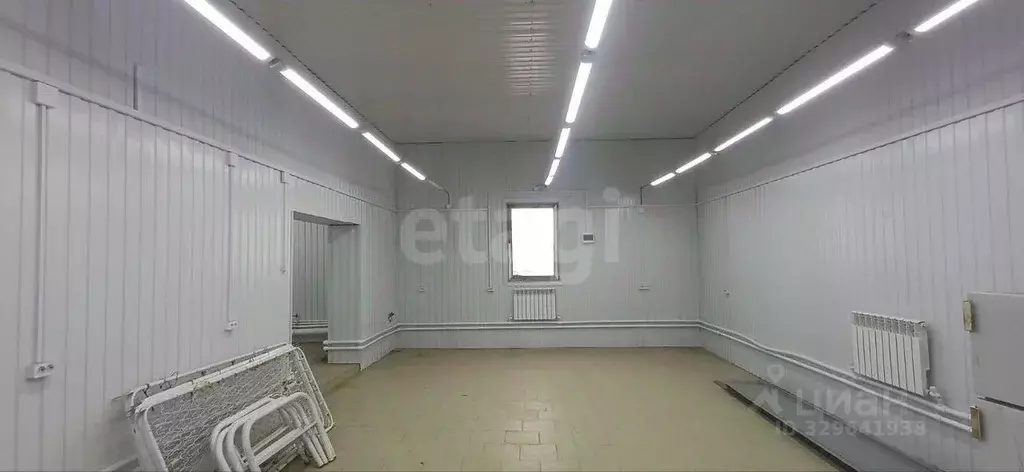 Помещение свободного назначения в Алтай, Майминский район, с. Майма ... - Фото 1