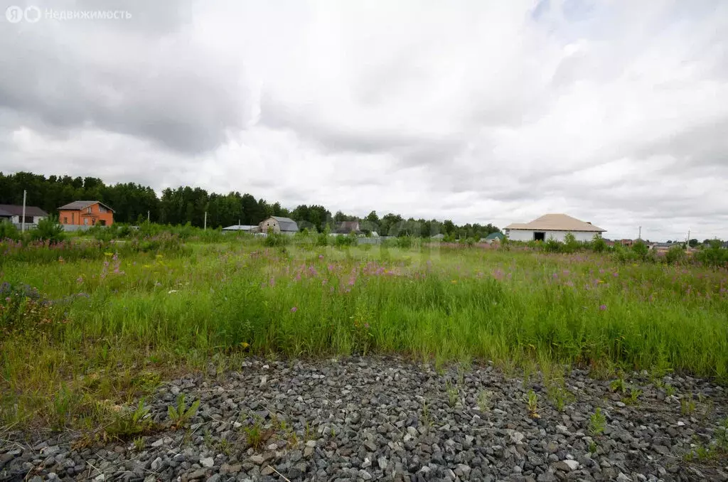 Участок в Заводоуковск, улица Хлеборобов (7.8 м) - Фото 2