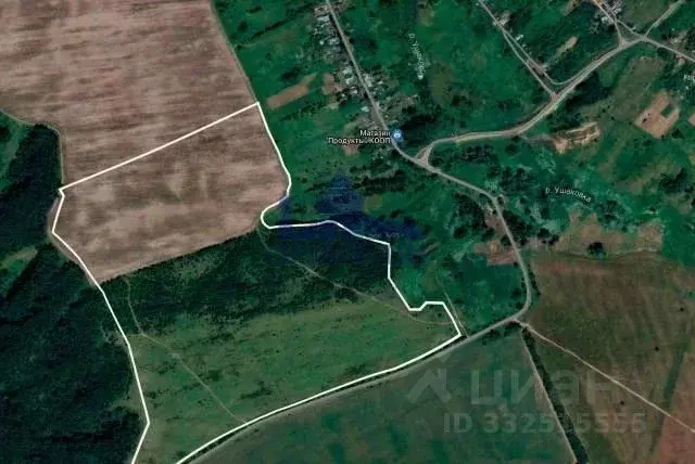 Участок в Нижегородская область, Лысковский район, с. Окишино  ... - Фото 1