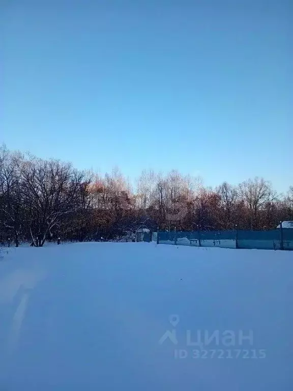 Участок в Амурская область, Благовещенск Медик 1-й Горбольницы СТ,  ... - Фото 2