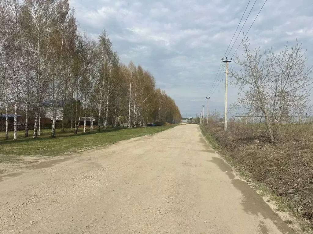 Участок в Свердловская область, Белоярский городской округ, д. Гусева  ... - Фото 0