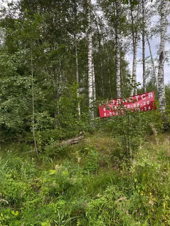 Участок в Московская область, Дмитровский муниципальный округ, ... - Фото 1