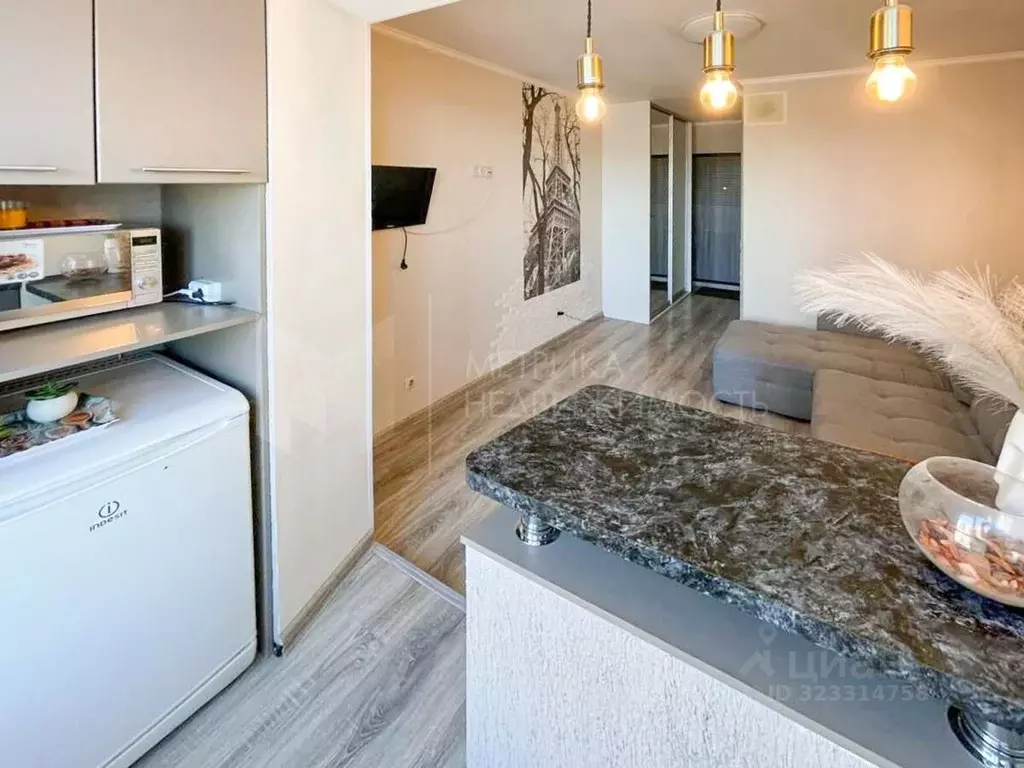 Студия Тюменская область, Тюмень ул. Новоселов, 115 (17.0 м) - Фото 1