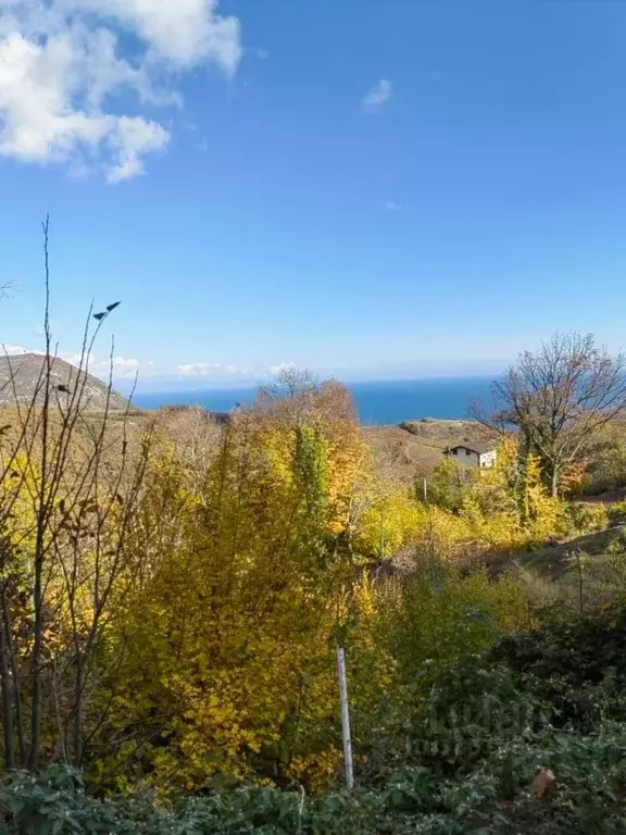 Участок в Крым, Алушта городской округ, с. Малый Маяк ул. Зеленая, 15 ... - Фото 0