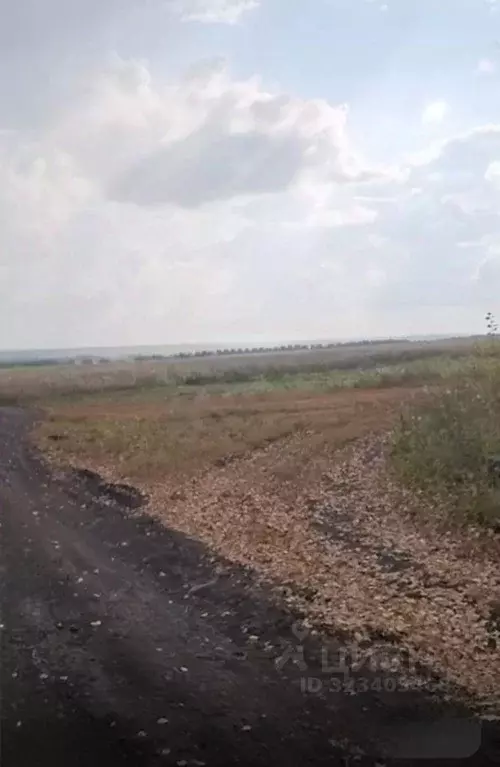 Участок в Башкортостан, Уфимский район, Таптыковский сельсовет, с. ... - Фото 2