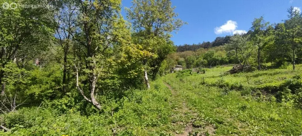 Участок в Ставропольский край, Кисловодск (20 м) - Фото 2