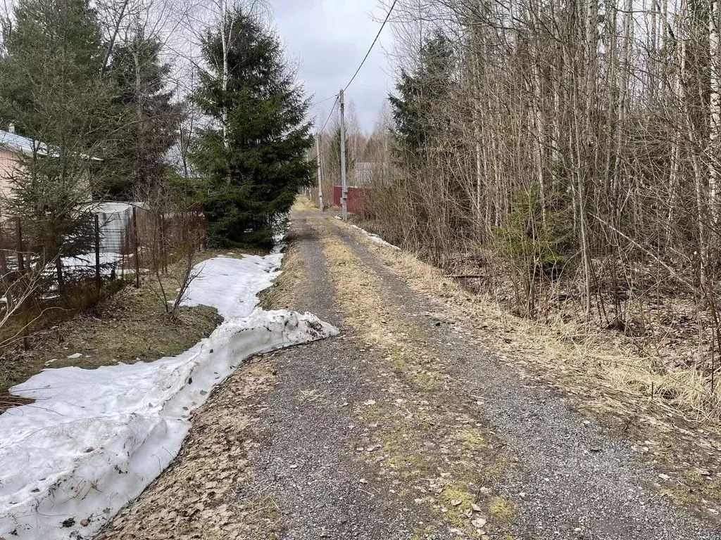 Участок в Московская область, Волоколамский муниципальный округ, ... - Фото 2