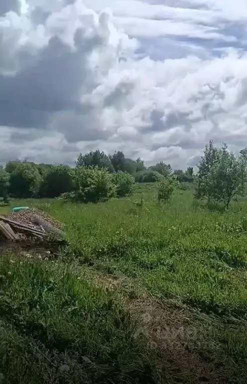 Участок в Московская область, Ступино городской округ, д. Рудины пер. ... - Фото 2