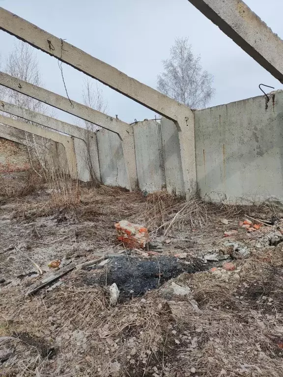Помещение свободного назначения в Омская область, Омский район, с. ... - Фото 0