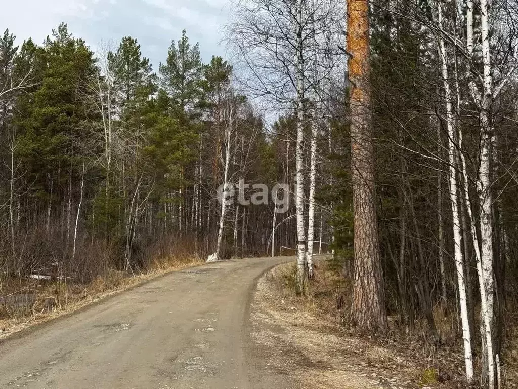 Участок в Свердловская область, Екатеринбург Надежда-3 СНТ,  (9.7 ... - Фото 0
