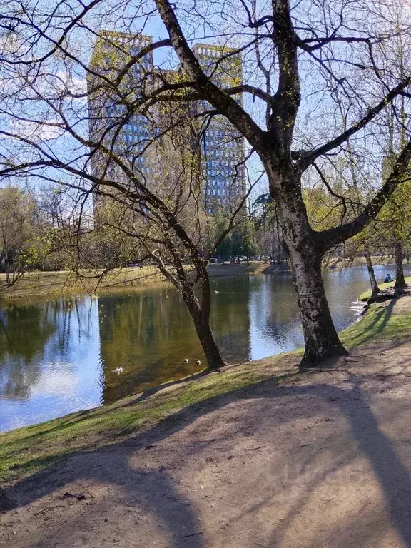 1-к кв. Санкт-Петербург просп. Тореза, 38К3 (32.5 м) - Фото 1